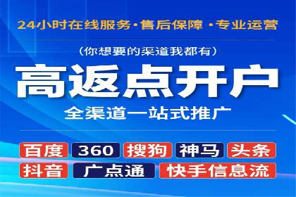 SEM搜索引擎优化策略解析与应用案例